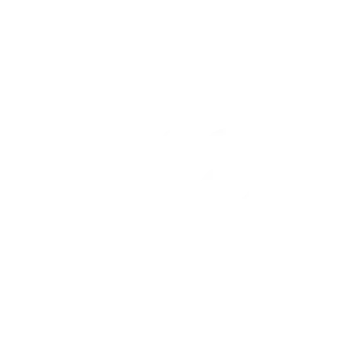 No 8